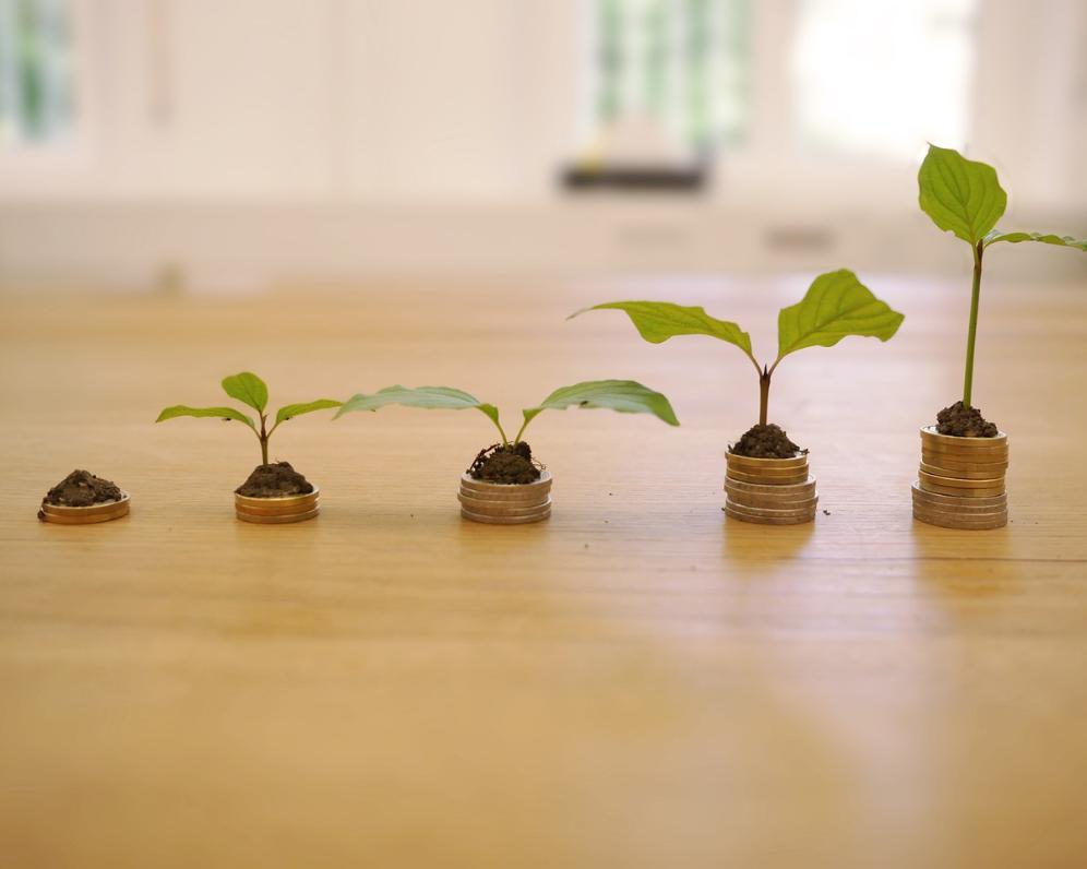 Statistika k tématu pravidelného investování, složeného úročení, poplatků ..