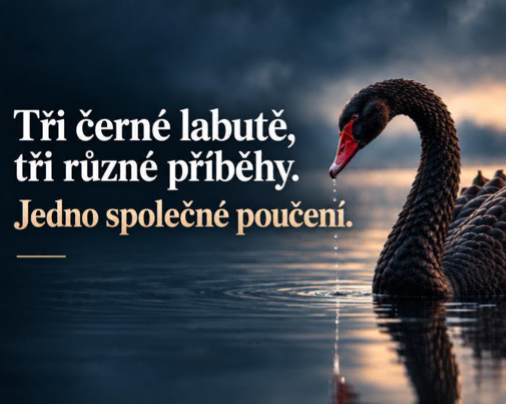 Tři černé labutě, tři různé příběhy. Jedno společné poučení.